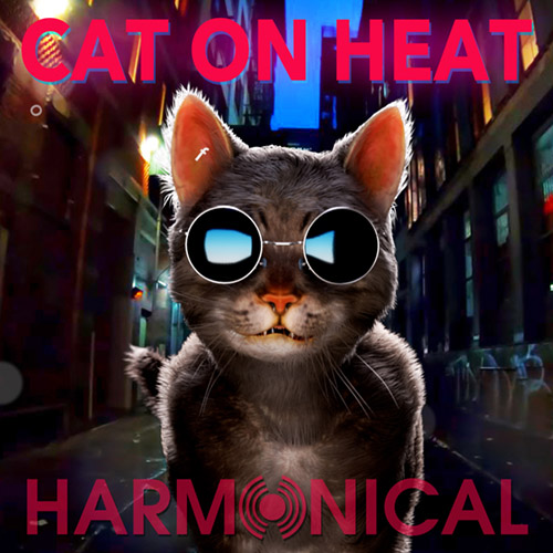 image of cool cat